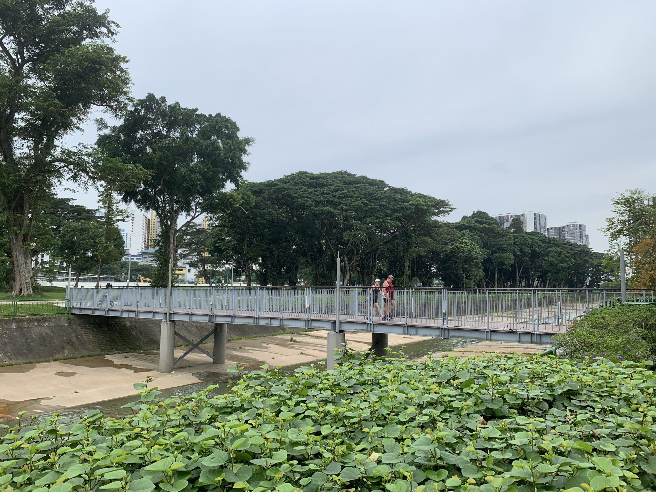 Footbridge at Pang Sua Canal